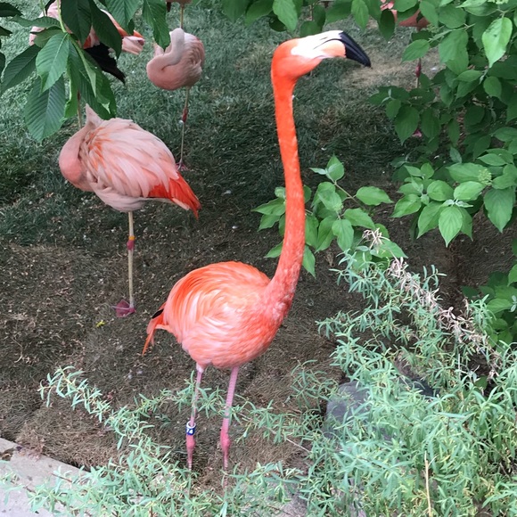 Meet your Posher, Prabhjit - Picture 1 of 1